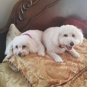 Meet your Posher, Cheryl